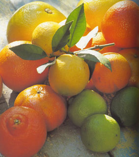 Click image for larger version

Name:	3kalam.com-dbfe84e106.jpg
Views:	1
Size:	67.4 KB
ID:	1360452