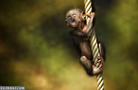 Click image for larger version

Name:	3.jpg
Views:	1
Size:	21.4 KB
ID:	1362280