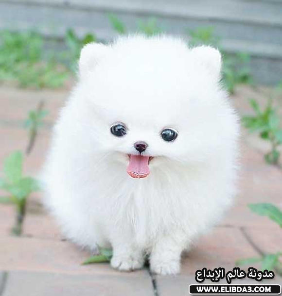 Click image for larger version

Name:	15.jpg
Views:	1
Size:	31.7 KB
ID:	1303509