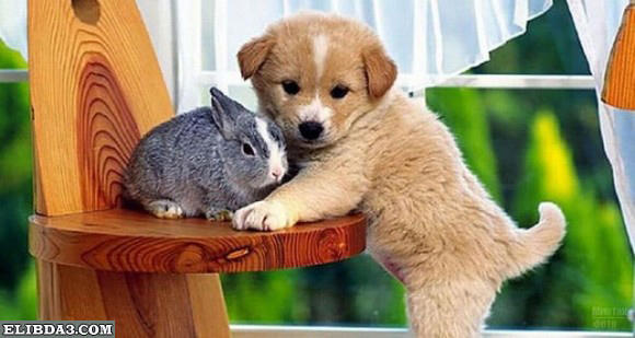 Click image for larger version

Name:	36.jpg
Views:	1
Size:	36.8 KB
ID:	1303531