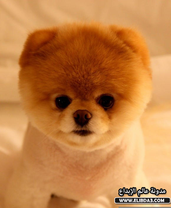 Click image for larger version

Name:	38.jpg
Views:	1
Size:	38.1 KB
ID:	1303533