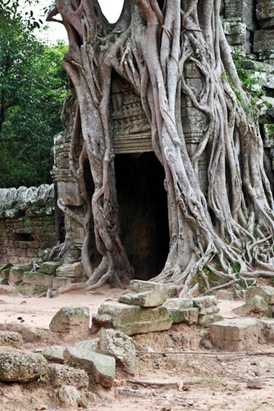 Click image for larger version

Name:	1333902850_content_thumb.jpg
Views:	1
Size:	143.4 KB
ID:	1362562