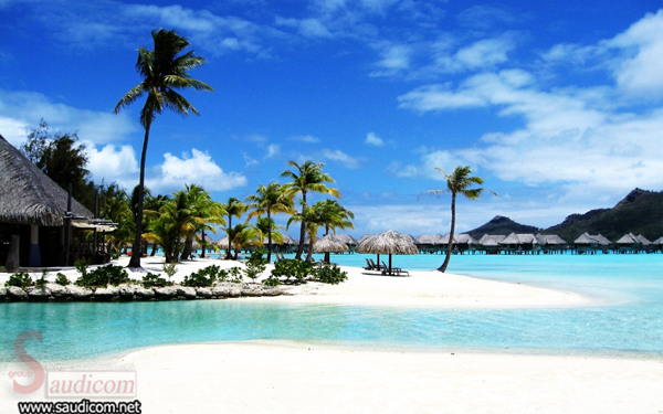 Click image for larger version

Name:	صور من الطبيعة8.jpg
Views:	1
Size:	213.6 KB
ID:	1364301