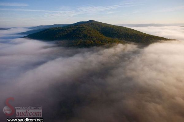 Click image for larger version

Name:	2.jpg
Views:	1
Size:	28.7 KB
ID:	1364325