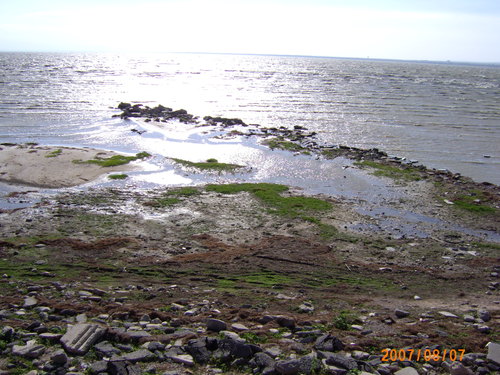 Click image for larger version

Name:	_20100822_1150633746.jpg
Views:	1
Size:	77.0 KB
ID:	1304905