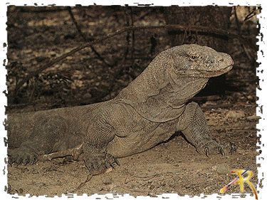 Click image for larger version

Name:	20906696.gif
Views:	1
Size:	93.5 KB
ID:	1364688