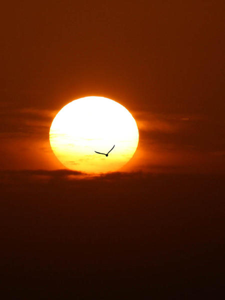 Click image for larger version

Name:	large.jpg
Views:	1
Size:	12.8 KB
ID:	1305091