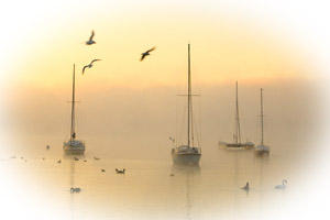 Click image for larger version

Name:	28057249.jpg
Views:	1
Size:	5.9 KB
ID:	1305092