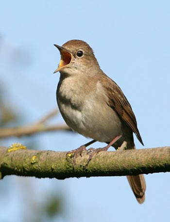 Click image for larger version

Name:	03egyptluxorhatshepsuttqr5.jpg
Views:	1
Size:	18.2 KB
ID:	1305141