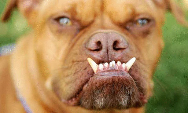 Click image for larger version

Name:	71.jpg
Views:	1
Size:	60.5 KB
ID:	1364761