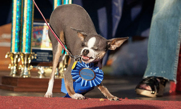 Click image for larger version

Name:	041ai8.jpg
Views:	1
Size:	84.9 KB
ID:	1364762