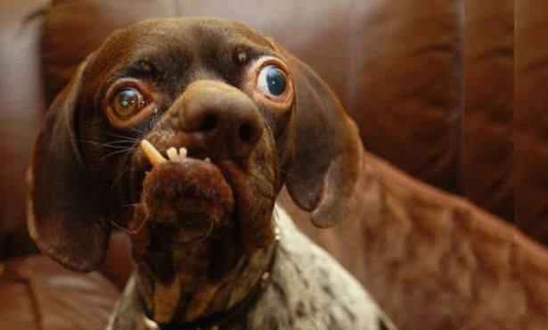 Click image for larger version

Name:	03egyptluxorhatshepsuttqr5.jpg
Views:	1
Size:	54.6 KB
ID:	1364763