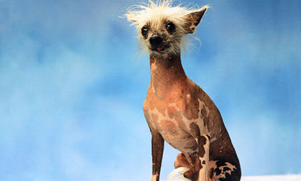 Click image for larger version

Name:	286-1-EM-4-11977_310x310.jpg
Views:	1
Size:	48.9 KB
ID:	1364764