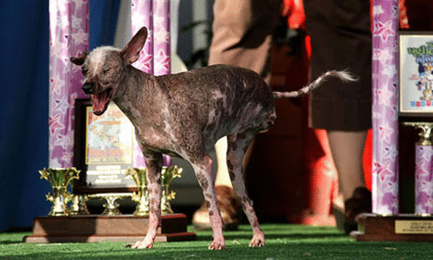 Click image for larger version

Name:	0144-4-6.jpg
Views:	1
Size:	82.1 KB
ID:	1364765