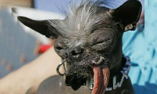 Click image for larger version

Name:	19604_310x310.jpg
Views:	1
Size:	64.9 KB
ID:	1364766