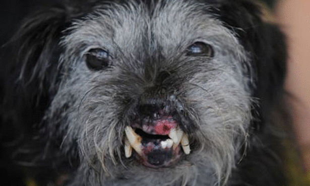 Click image for larger version

Name:	3402-2_310x310.jpg
Views:	1
Size:	53.9 KB
ID:	1364767