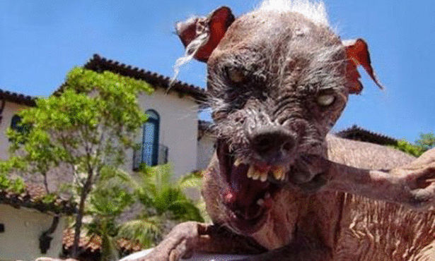 Click image for larger version

Name:	Brooklyn NY Nov-2005 0688.jpg
Views:	1
Size:	76.8 KB
ID:	1364768