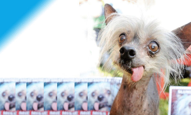 Click image for larger version

Name:	Amarna 13.jpg
Views:	1
Size:	58.2 KB
ID:	1364769