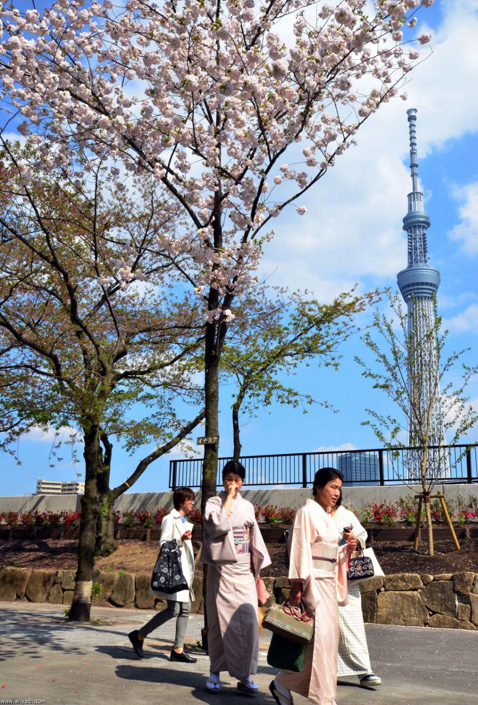 Click image for larger version

Name:	286-1-EM-4-11977_310x310.jpg
Views:	1
Size:	409.0 KB
ID:	1364785