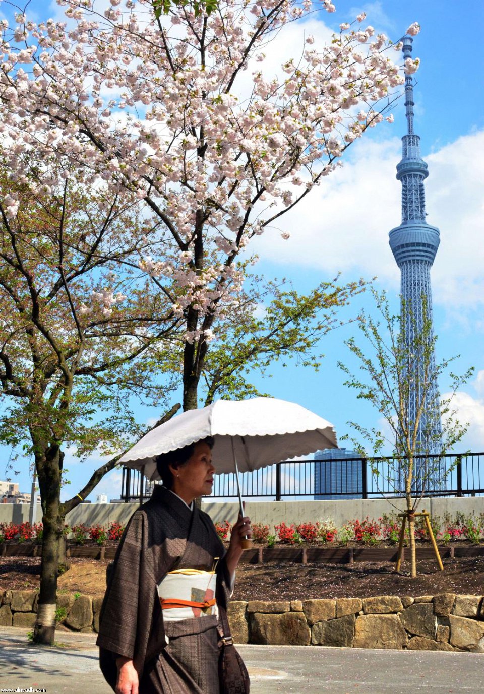 Click image for larger version

Name:	3402-2_310x310.jpg
Views:	1
Size:	401.1 KB
ID:	1364786