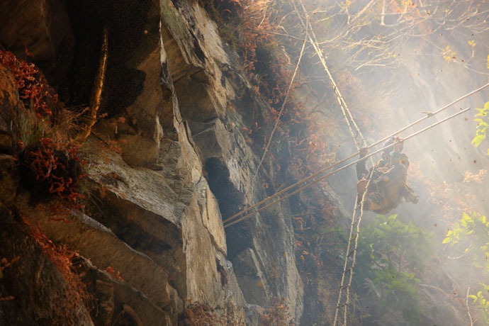 Click image for larger version

Name:	honey-hunters-nepal-22[4].jpg
Views:	1
Size:	123.7 KB
ID:	1305158