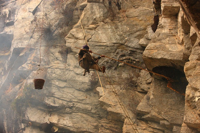 Click image for larger version

Name:	honey-hunters-nepal-23[4].jpg
Views:	1
Size:	158.2 KB
ID:	1305159