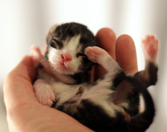 Click image for larger version

Name:	96264510755146807_ivCn9pOA_f-580x364.jpg
Views:	1
Size:	97.8 KB
ID:	1305424