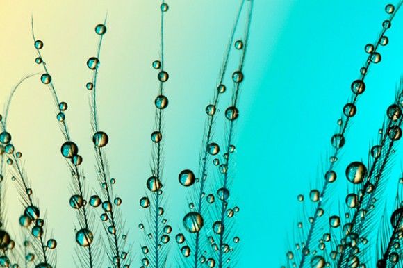 Click image for larger version

Name:	dew-3-580x386.jpg
Views:	1
Size:	64.7 KB
ID:	1305458
