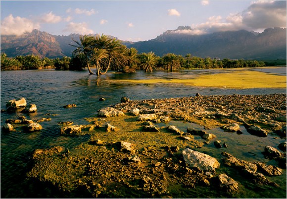 Click image for larger version

Name:	5.jpg
Views:	1
Size:	99.2 KB
ID:	1305537