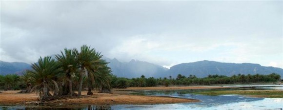 Click image for larger version

Name:	13.jpg
Views:	1
Size:	26.5 KB
ID:	1305545