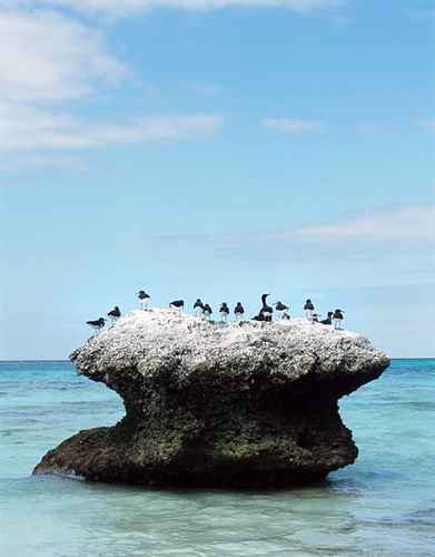 Click image for larger version

Name:	22.jpg
Views:	1
Size:	76.7 KB
ID:	1305554