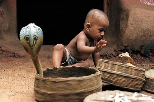 Click image for larger version

Name:	the-best-of-national-geographic02.jpg
Views:	1
Size:	32.5 KB
ID:	1305654