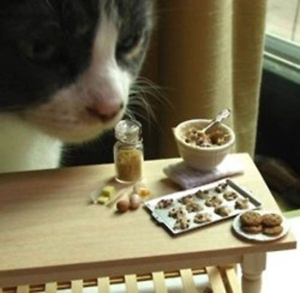 Click image for larger version

Name:	8.jpg
Views:	1
Size:	40.3 KB
ID:	1305981