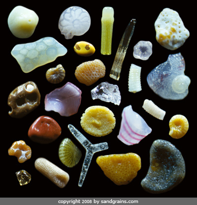 Click image for larger version

Name:	18991675.jpg
Views:	1
Size:	134.9 KB
ID:	1306130
