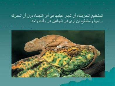 Click image for larger version

Name:	106069.gif
Views:	1
Size:	68.4 KB
ID:	1366711