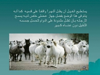 Click image for larger version

Name:	106073.gif
Views:	1
Size:	72.9 KB
ID:	1366715