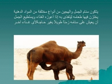 Click image for larger version

Name:	106076.gif
Views:	1
Size:	62.7 KB
ID:	1366718