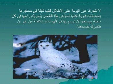 Click image for larger version

Name:	106077.gif
Views:	1
Size:	72.8 KB
ID:	1366719