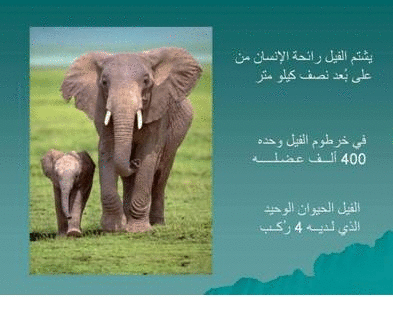 Click image for larger version

Name:	106079.gif
Views:	1
Size:	70.5 KB
ID:	1366721