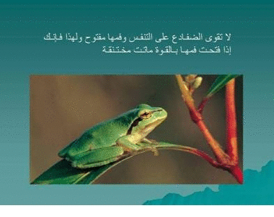Click image for larger version

Name:	106080.gif
Views:	1
Size:	62.3 KB
ID:	1366722