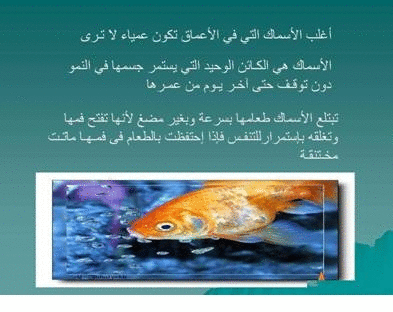Click image for larger version

Name:	106081.gif
Views:	1
Size:	65.5 KB
ID:	1366723