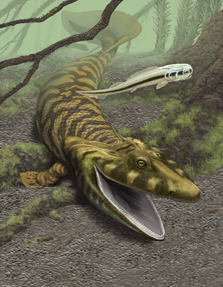Click image for larger version

Name:	z1-tiktaalik-c4-final-test.jpg
Views:	1
Size:	298.2 KB
ID:	1306679