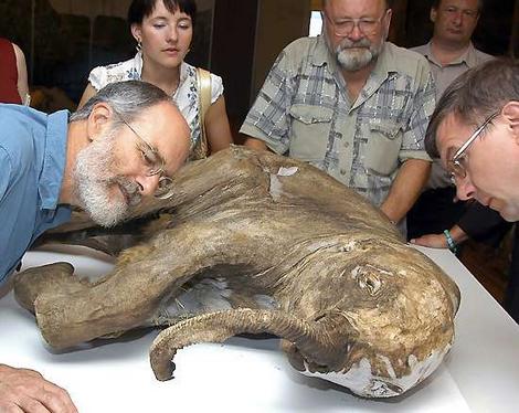 Click image for larger version

Name:	jt_mammoth_wideweb__470x374,0.jpg
Views:	1
Size:	39.0 KB
ID:	1306712