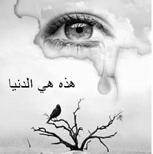 Click image for larger version

Name:	  .JPG
Views:	1
Size:	22.6 KB
ID:	1368771