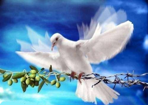 Click image for larger version

Name:	salam.jpg
Views:	1
Size:	23.7 KB
ID:	1368944