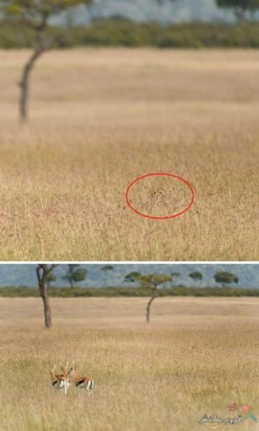 Click image for larger version

Name:	29b7991ef7c2bcd2d30f52c2f4bbe0b4.jpg
Views:	1
Size:	27.9 KB
ID:	1369535