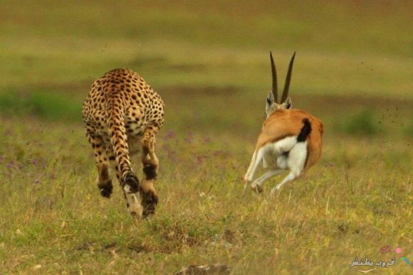 Click image for larger version

Name:	09c4be83c5f8496eb3c69fbdd124e957.jpg
Views:	1
Size:	34.6 KB
ID:	1307130