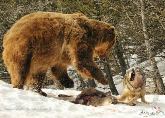 Click image for larger version

Name:	cc386e229666374544914876c511e1dc.jpg
Views:	1
Size:	64.3 KB
ID:	1307134