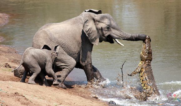 Click image for larger version

Name:	09c4be83c5f8496eb3c69fbdd124e957.jpg
Views:	1
Size:	40.7 KB
ID:	1307135