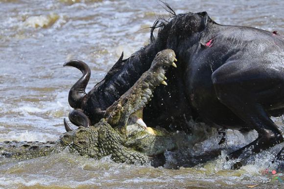 Click image for larger version

Name:	29b7991ef7c2bcd2d30f52c2f4bbe0b4.jpg
Views:	1
Size:	64.1 KB
ID:	1307137